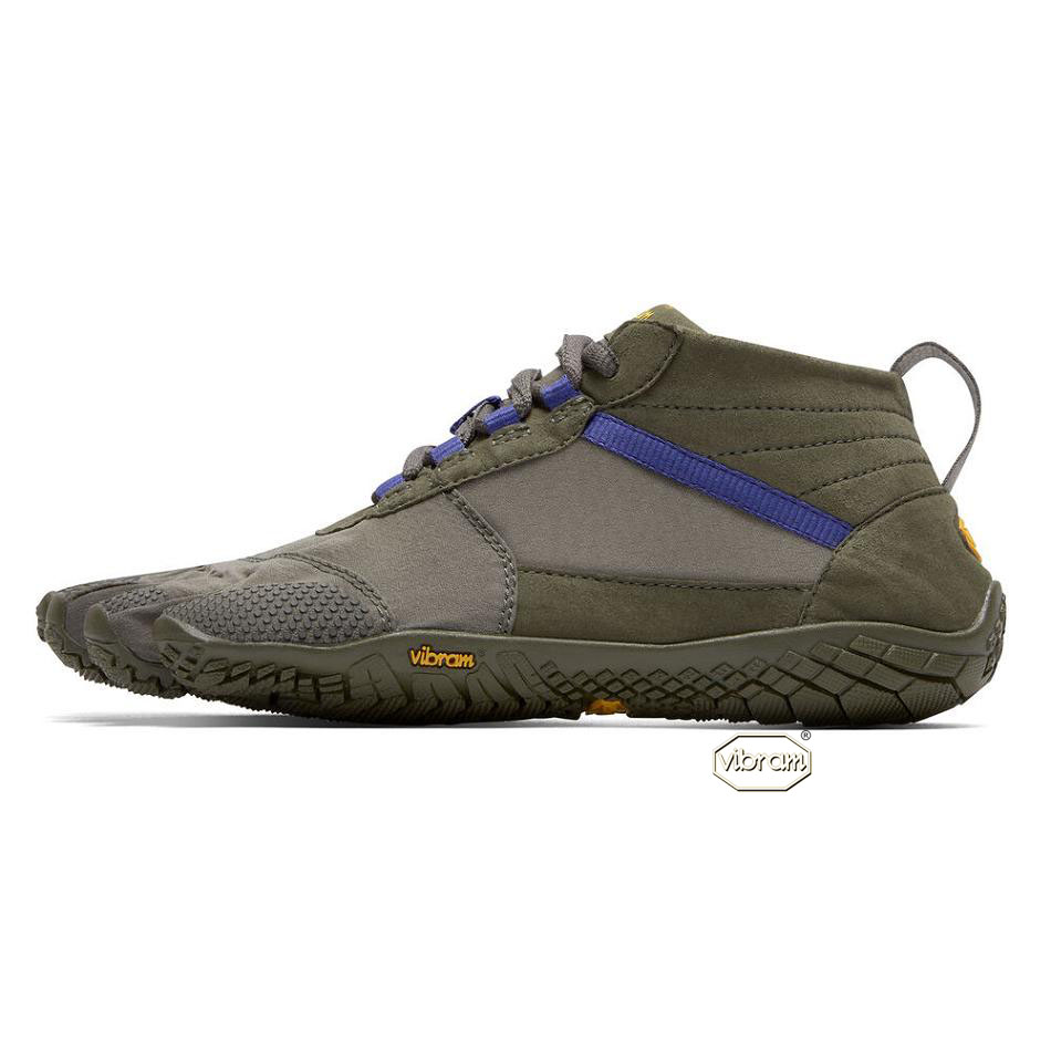 Women's Vibram V-Trek Casual shoes Purple | US_J36