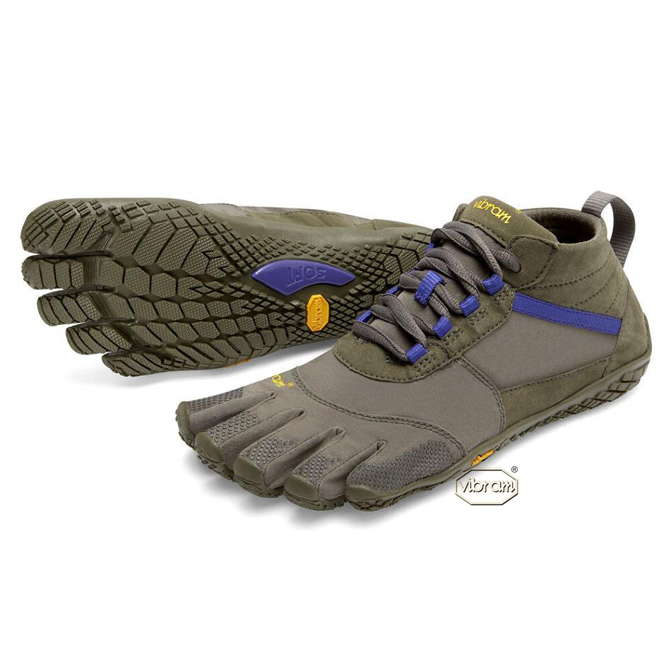 Women\'s Vibram V-Trek Casual shoes Purple | US_J36